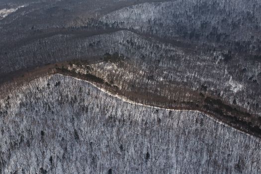 Winter coniferous forest, captured from a helicopter