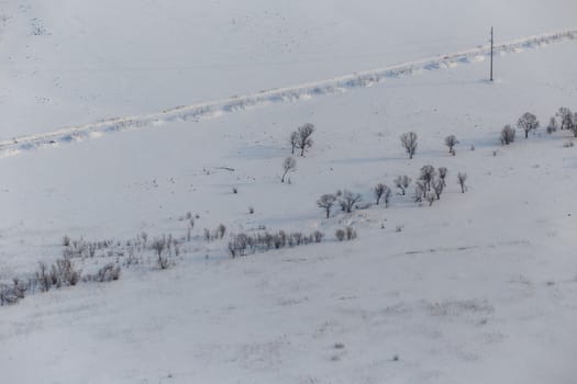 View from above. Agricultural fields in winter.