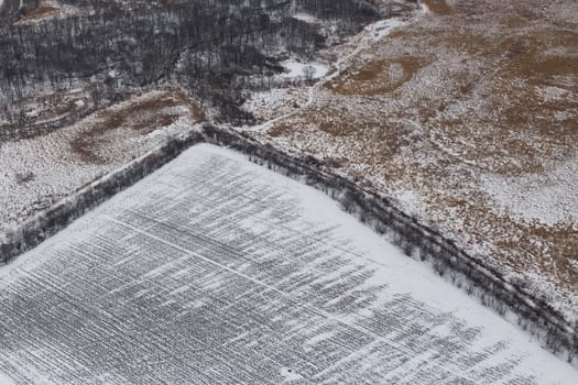 View from above. Agricultural fields in winter.