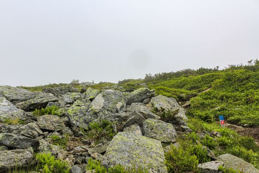Hiking trail between rocks and cliffs on Veslehødn Veslehorn mountain in Hemsedal, Norway.