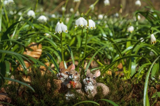 a soft flower blossom in a nature garden