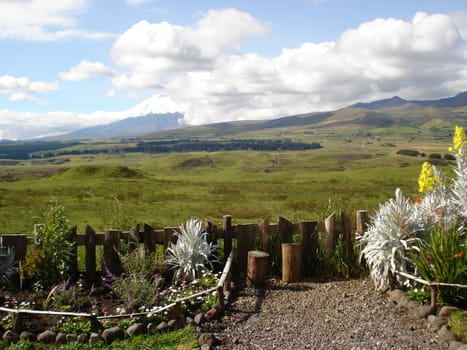 Cotopaxi landscape and surroundings in Equador, garden in foreground. Travel and tourism.