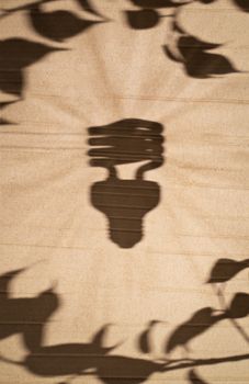 shadow of fluorescent light bulb and tree leaves against cardboard background