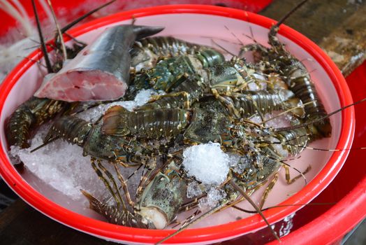 Lobster Sell in fresh seafood market, note  select focus with shallow depth of field 	