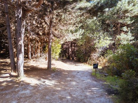 Queenstown, New Zealand - September 24th 2019: Mountain bike trails at Seven Mile Recreation Reserve and Eagles Nest