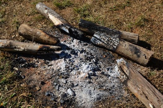 Campfire with burning wood outdoors