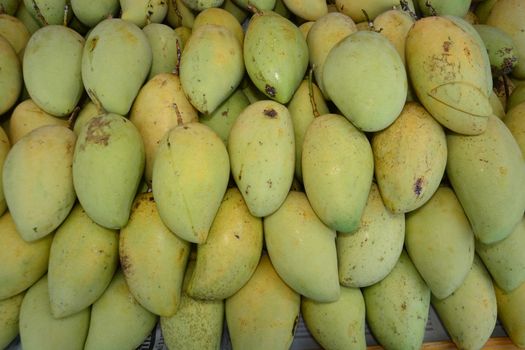 group of green mango, note  select focus with shallow depth of field

