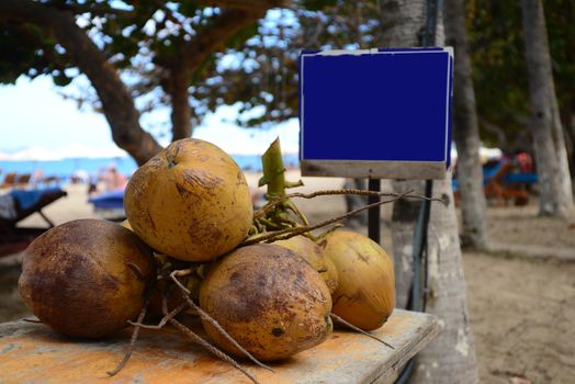  The coconuts it sell at the beach with a price tag can add language and price