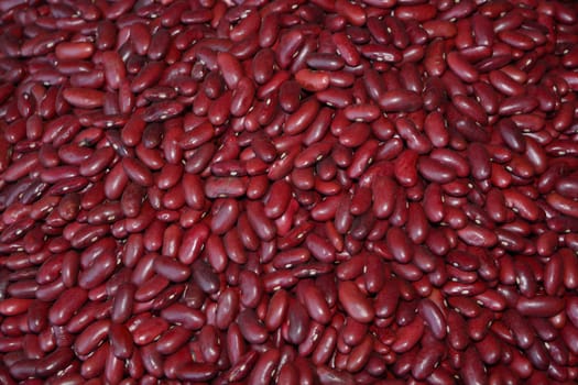 Kidney bean, Red kidney bean,  note  select focus with shallow depth of field