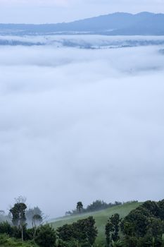 Green hill with fog background, Phetchabun Province, Thailand