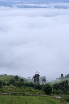 Green hill with fog background, Phetchabun Province, Thailand