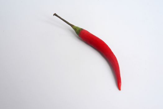 Red chili on white background with copy space for text

