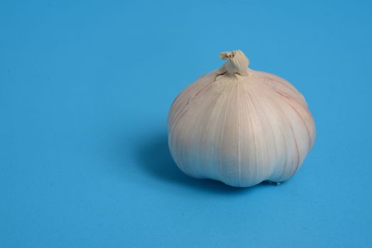 garlic. Raw garlic  on blue background with copy space for text