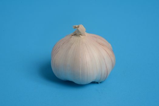 garlic. Raw garlic  on blue background with copy space for text