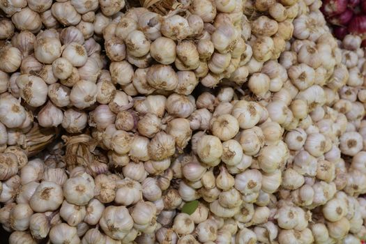 White dry garlic pile texture, Pile of white garlic heads