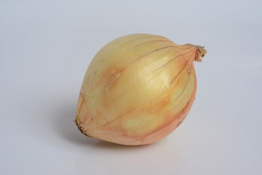 Ripe onion  on white background with copy space for text