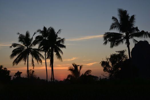 Copy space of silhouette tropical coconut palm tree with sun light on sunset sky background, Vintage tone.