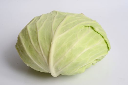 Cabbage on  white background.