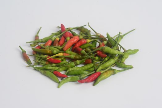 Chilli Padi, Bird's Eye Chilli, Bird Chilli, Thai pepper or Capsicum annuum