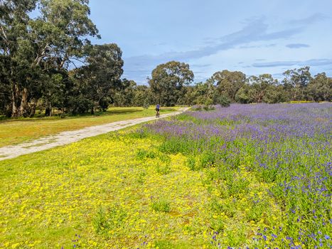 Mountain bike trails around Plenty Gorge State Park in northern Melbourne in Victoria, Australia