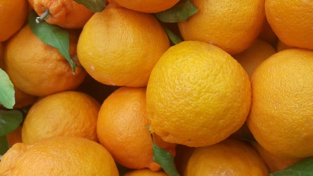 Healthy, fresh organic oranges in supermarket for sale, pile of orange in market for texture