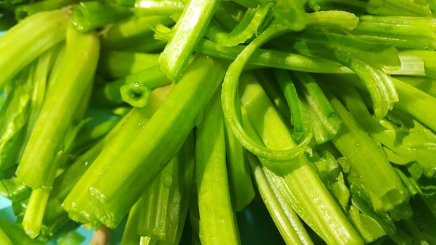 Close up view of lush green leaves base of spinach or paalak saag used for making