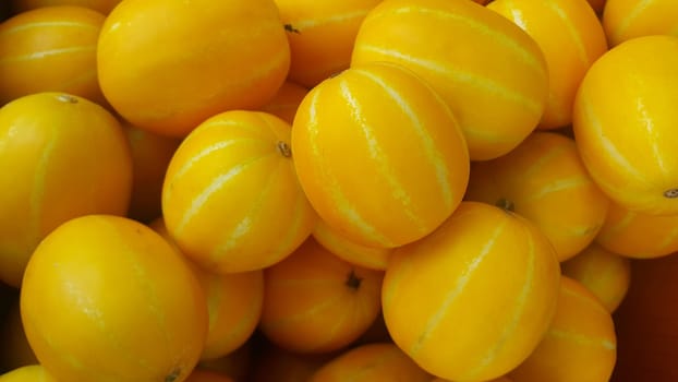 Fresh yellow melon or Canary melon or winter melon pile placed in market for sale. The Canary melon or winter melon is a large, bright-yellow elongated melon with a pale green to white inner flesh.