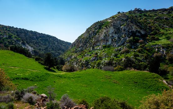 Water meadows and hills on the Mediterranean coast on the island of Cyprus.