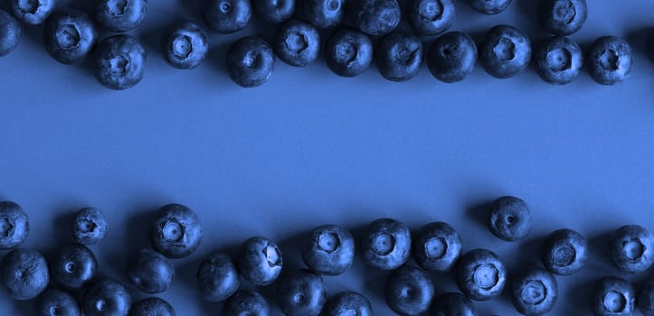 Blueberries on blue paper background, dark tones image with space for text