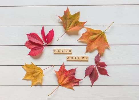 Frame made of autumn fallen leaves on wooden background.