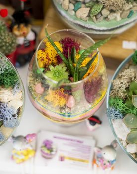 .Decorative floristic composition of a variety of succulents in a Glass terrarium florarium, the idea of decorating the space of an apartment or cafe. soft selective focus.