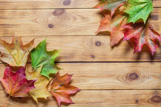 Autumn flat lay with colorful fallen leaves on wooden background