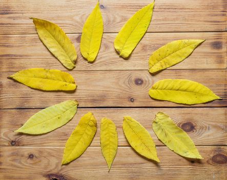 Top view of frame of multicolored fallen leaves on wooden background.