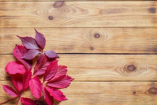 Autumn flat lay with colorful fallen leaves on wooden background