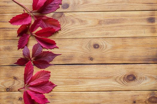 Autumn flat lay with colorful fallen leaves on wooden background