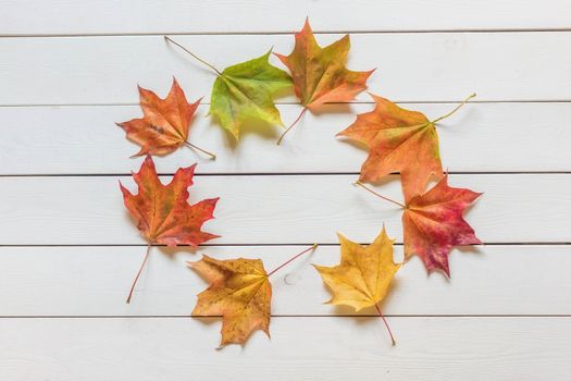 Top view of frame of multicolored fallen leaves on wooden background.