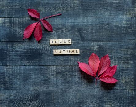 Text hello autumn framed by autumn fallen leaves on a dark wooden background.