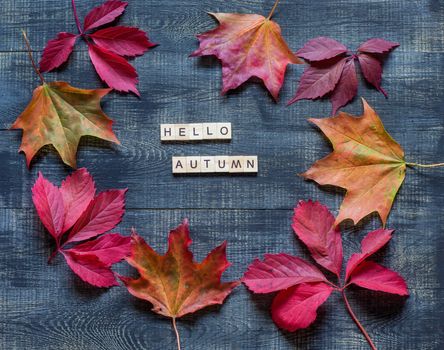 Autumn flat lay with multicolored fallen leaves and hello autumn lettering on wooden background