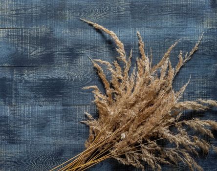 Autumn flat lay with dry ears of wheat on a dark wooden background with Space for text.