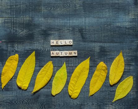 Text hello autumn framed by autumn fallen leaves on a dark wooden background.