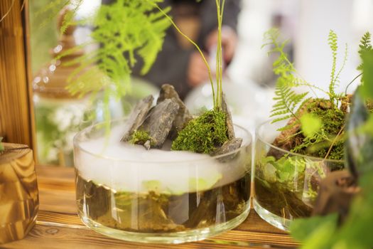 Floristic composition in a transparent glass bowl Glass terrarium with natural stones and green moss in a soft selective focus.