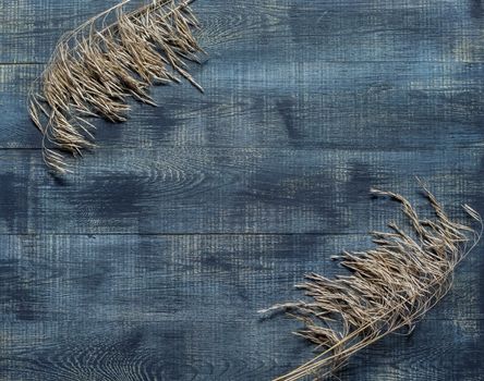 Autumn flat lay with dry ears of wheat on a dark wooden background with Space for text.