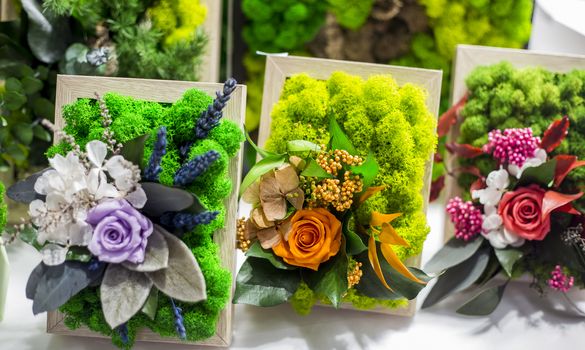 Decorative floristic arrangement of artificial flowers and stabilized moss, soft focus, selective focus.