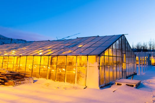 Industrial greenhouses for growing plants in winter