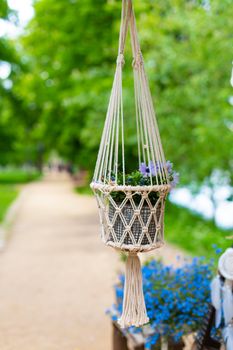 Decorative flowerpot suspended from a rope in a city park. Cozy Europe.
