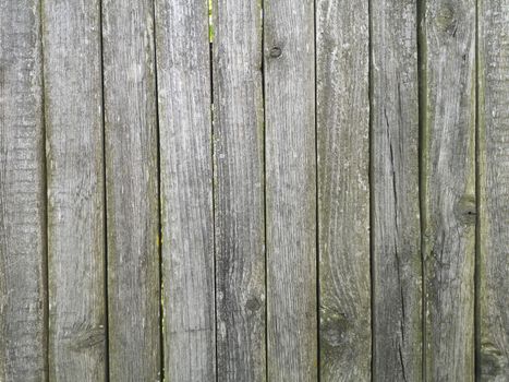 Wooden Wall Background. Old green fence in a village.