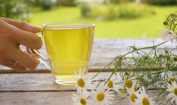Close-up transparent cup of chamomile tea on the wooden table outdoors. A bouquet of daisies on the table. Herbal medicine concept