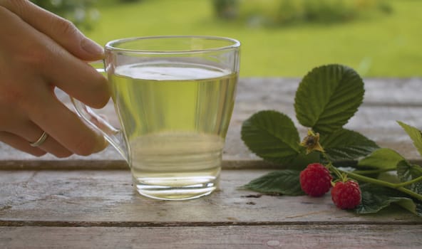 Close-up hand placing down transparent cup of raspberry leaf tisane on the old wooden table outside. Fresh raw raspberry on the table. Herbal medicine concept