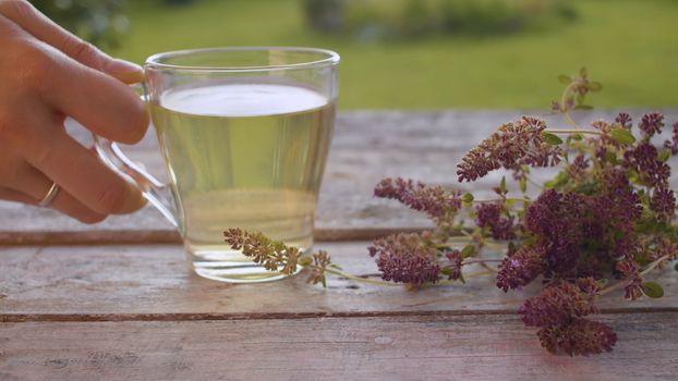 Close-up hand puts a transparent cup of thyme tisane on the wooden table outdoors. A bouquet of thyme on the table. Herbal medicine concept