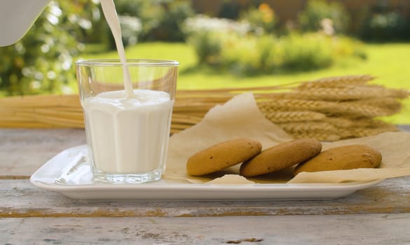 Close up hand pouring milk into a glass from a jug. Cookies and ears of wheat on a wooden table in the garden of a country house